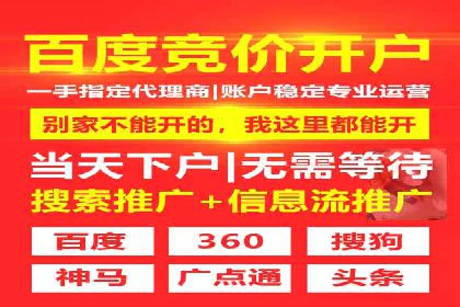 搜索引擎优化（SEO）与竞价广告（SEM）的对比案例